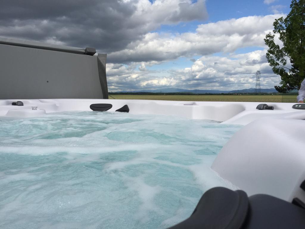 Villa L'Atelier 4 Stars Luxury, Hot Tub, Pool Nambsheim Zimmer foto